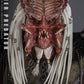 Predator: Badlands Figura Movie Masterpiece 1/6 Njohrr 36 cm