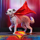 DC Comics Movie Masterpiece Set de Figuras Supergirl & Krypto 28 cm