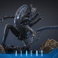 Alien Movie Masterpiece Figura 1/6 Alien Warrior (Deluxe Version) 39 cm