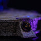 Mortal Kombat Estatua 1/10 Art Scale Rain heo exclusive 21 cm