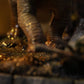 El Mundo Perdido: Jurassic Park Estatua Icons Stegosaurus 18 cm
