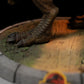 Jurassic Park Minifigura Mini Co. PVC T-Rex Illusion 15 cm