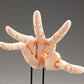 Takahiro Kagami Artist Support Item Hand PVC 1/1 Model/R Pale Orange 21 cm - Z POP Toys