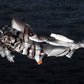 Godzilla vs Evangelion Maqueta Plastic Model Evangelion Test Type-01 Mecha Godzilla Ver. 19 cm - Z POP Toys