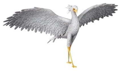 Flow UDF Figura PVC Secretarybird