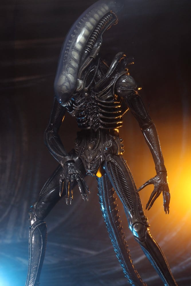 Alien 1/4 Figura Big Chap 56 cm
