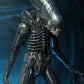 Alien 1/4 Figura Big Chap 56 cm