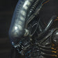 Alien 1/4 Figura Big Chap 56 cm