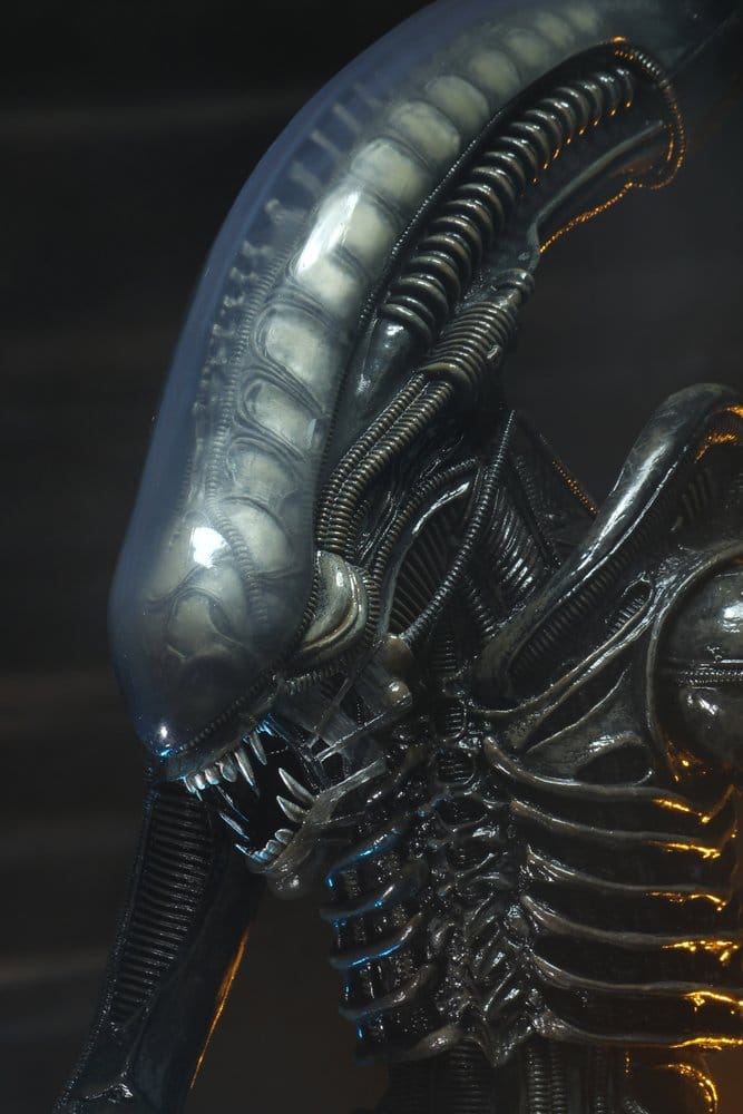 Alien 1/4 Figura Big Chap 56 cm