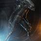 Alien 1/4 Figura Big Chap 56 cm