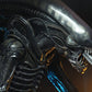 Alien 1/4 Figura Big Chap 56 cm