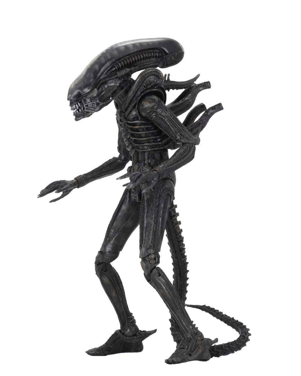 Alien 1979 Figura Ultimate 40th Anniversary Big Chap 23 cm - Z POP Toys