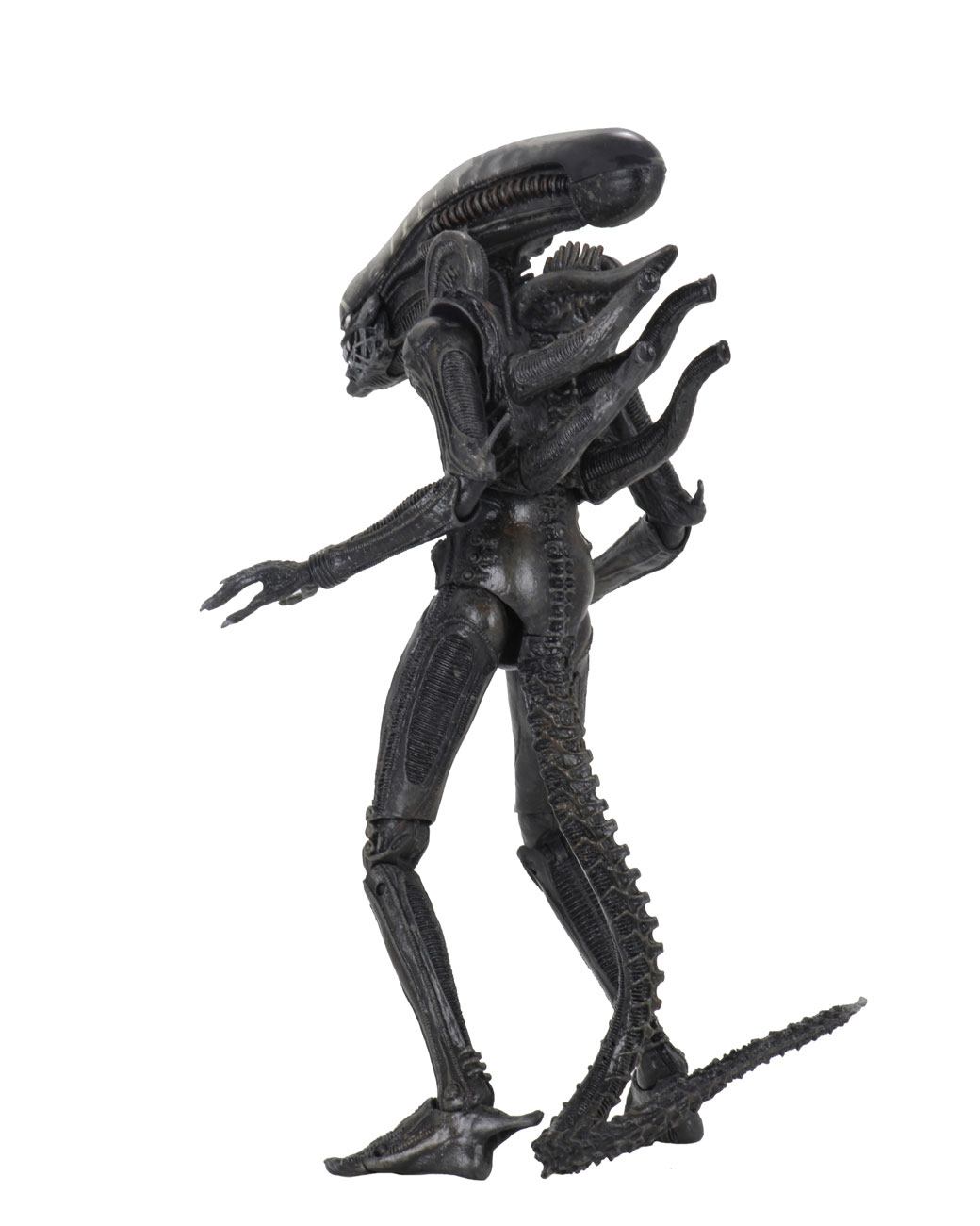 Alien 1979 Figura Ultimate 40th Anniversary Big Chap 23 cm - Z POP Toys