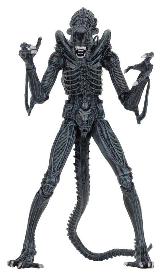 Aliens Ultimate Figura Warrior (1986) Blue 23 cm