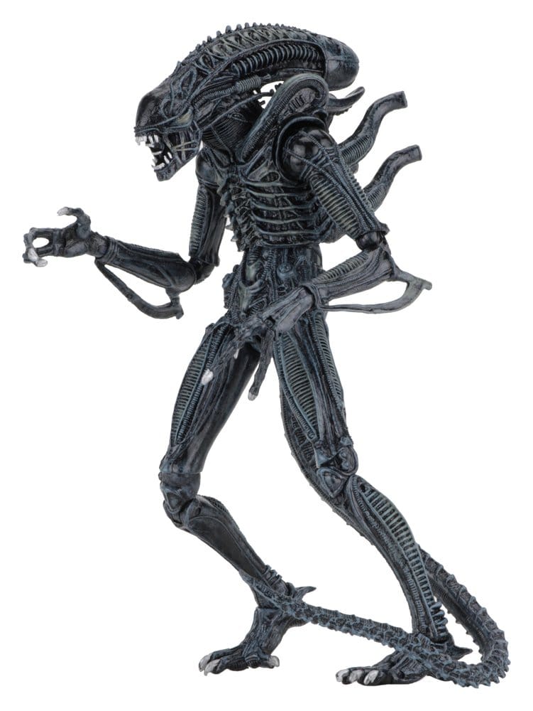 Aliens Ultimate Figura Warrior (1986) Blue 23 cm