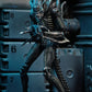 Aliens Ultimate Figura Warrior (1986) Blue 23 cm