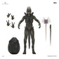 Alien: Earth Ultimate Figura Xenomorph 18 cm