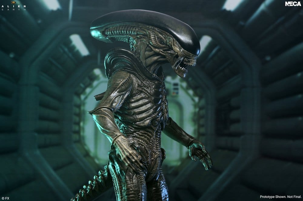 Alien: Earth Ultimate Figura Xenomorph 18 cm