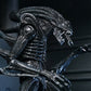 Aliens Ultimate Figura Warrior (1986) Xenomorph Black (40th Anniversary) 23 cm