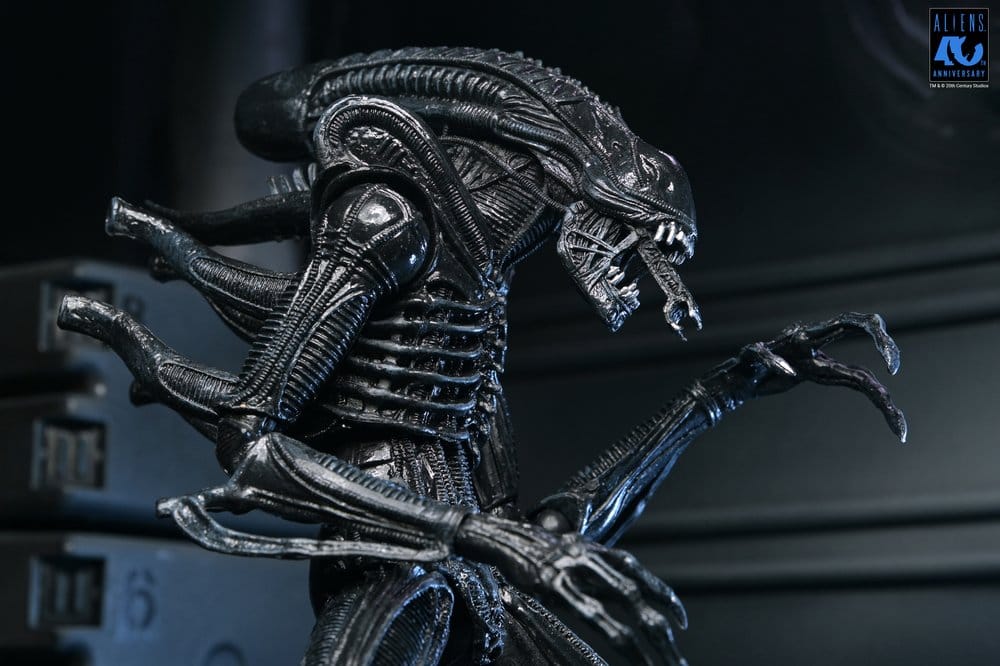 Aliens Ultimate Figura Warrior (1986) Xenomorph Black (40th Anniversary) 23 cm