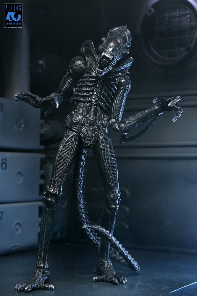 Aliens Ultimate Figura Warrior (1986) Xenomorph Black (40th Anniversary) 23 cm
