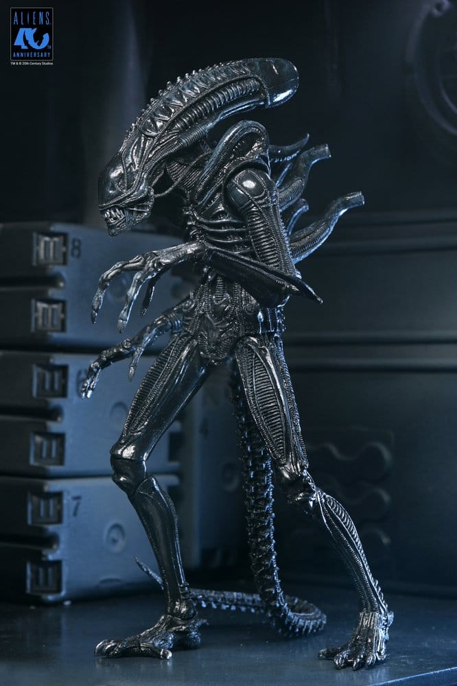 Aliens Ultimate Figura Warrior (1986) Xenomorph Black (40th Anniversary) 23 cm