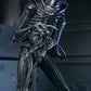 Aliens Ultimate Figura Warrior (1986) Xenomorph Black (40th Anniversary) 23 cm