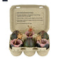 Aliens Pack de 6 Accesorios Carton of Alien Eggs (40th Anniversary)