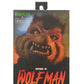 Universal Monsters/Teenage Mutant Ninja Turtles Figura Raphael as the Wolfman 18 cm