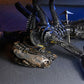 Alien: Romulus Figura Deluxe Suspended Lab Xenomorph XX121 18 cm - Z POP Toys