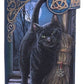 Lisa Parker Monedero A Brush With Magick Embossed 19 cm