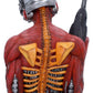 Iron Maiden Busto Somewhere In Time