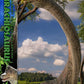 Jurassic Park (Film) Legacy Museum Collection Estatua 1/15 Brachiosaurus 128 cm