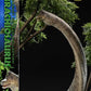 Jurassic Park (Film) Legacy Museum Collection Estatua 1/15 Brachiosaurus 128 cm