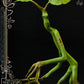 Animales fantásticos Estatua Pickett 27 cm