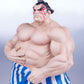 Street Fighter Street Jam Estatuas 1/10 Karin & E. Honda - Z POP Toys