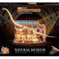 Revell Tiny Adventures Natural Museum Puzzle 3D de Madera Brachiosaurus Skeleton 58 cm