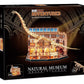 Revell Tiny Adventures Natural Museum Puzzle 3D de Madera Brachiosaurus Skeleton 58 cm