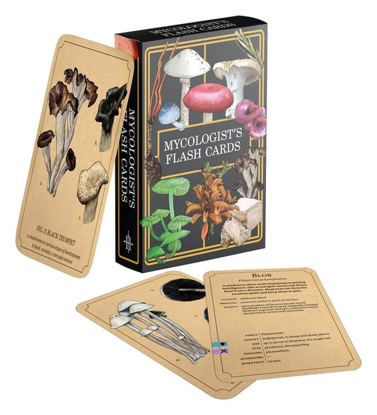 Renegade Originals: Mycologist's Primer Tarjetas *Edición Inglés*