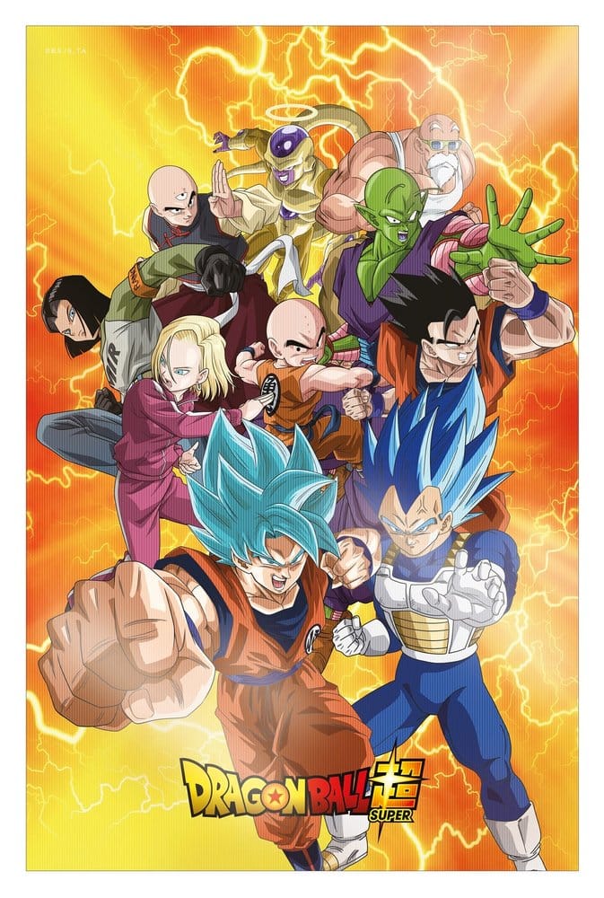 Dragon Ball Super 3D Póster Survival Heroes 38 x 58 cm