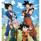 Dragon Ball Super 3D Póster Battle of Gods Goku Vegeta Family 38 x 58 cm