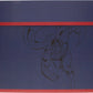 DC Comics Caja para Comics Superman 40 x 21 x 30 cm