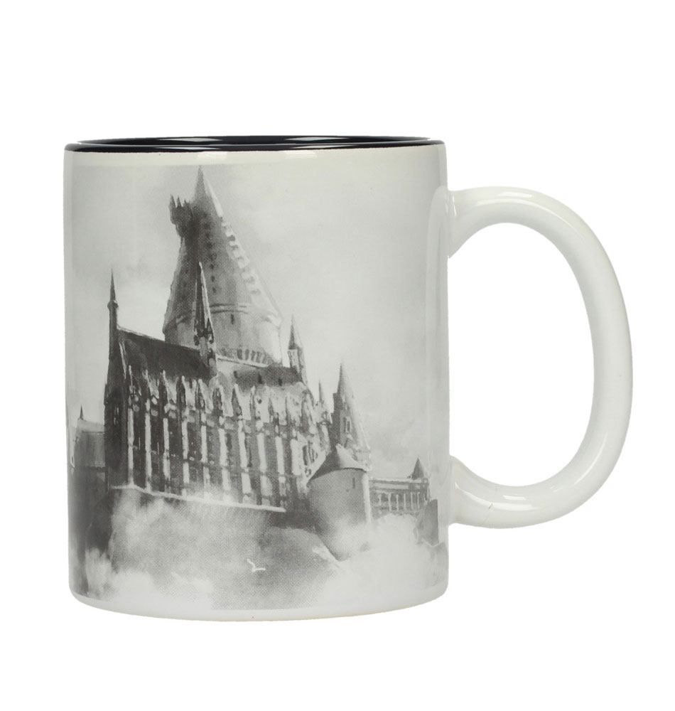 Harry Potter Taza Hogwarts Castle