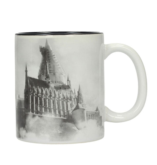 Harry Potter Taza Hogwarts Castle