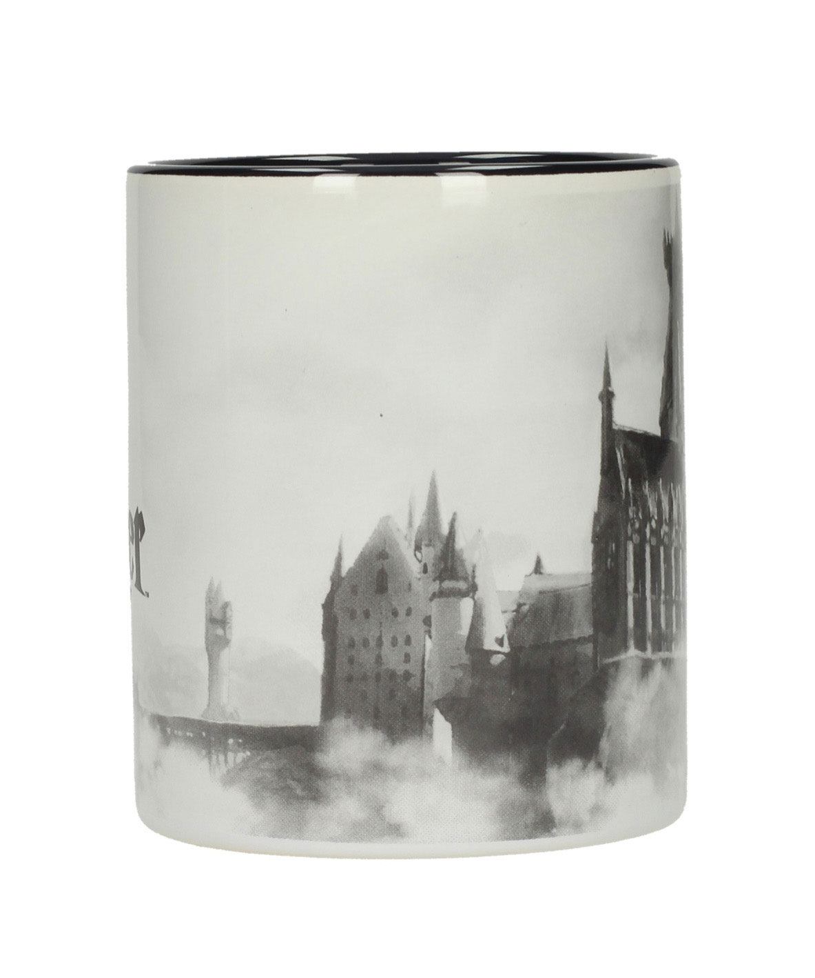 Harry Potter Taza Hogwarts Castle