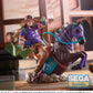 JoJo's Bizarre Adventure: Steel Ball Run XrossLinkMAX Figura PVC Gyro Zeppeli 18 cm