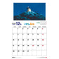 Mon Voisin Totoro Calendario 2026 *FRANCÉS*