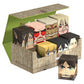 Squaroes Squaroe Attack on Titan Collectors Case - Shiganshina District