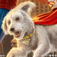 Superman (2025) DC Comics Litografia Superman: A Symbol of Hope 41 x 61 cm - sin marco