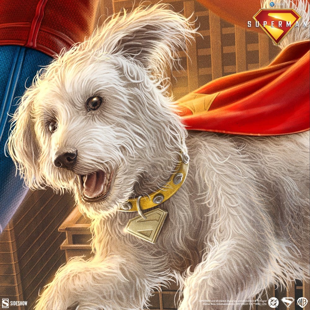 Superman (2025) DC Comics Litografia Superman: A Symbol of Hope 41 x 61 cm - sin marco